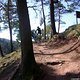 IMG 6684