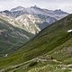 IMG 2428