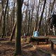 IMG 1908