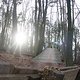 IMG 1546