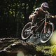 jim monro snowshoe