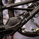 Die Bikes von Finn Iles und Loïc Bruni dürfen den Montageständer nicht verlassen.