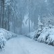 Frozen Rennsteig 2