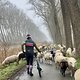 Sluis Radfahren