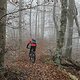 2024Andechs_imNebel
