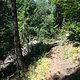 IMG 0382