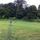 IMG 1365