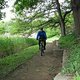 IMG 1793