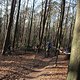 IMG 1882