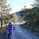 TransVerdon2016 (130)