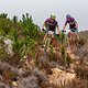 Abraao Azevedo and Bart Brentjens during stage 3 of the 2019 Absa Cape Epic Mountain Bike stage race held from Oak Valley Estate in Elgin, South Africa on the 20th March 2019.

Photo by Sam Clark/Cape Epic

PLEASE ENSURE THE APPROPRIATE CREDIT IS