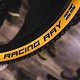 Auch der XC-Reifen Racing Ray ist als Classic Skin-Variante zu haben
