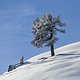 Winterlicher Pulverquickie auf dem Weg ins Wochenende; wg. erratischer Schneelage nur bergauf heizen ;)