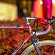 Colnago Master Olympic -6