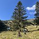 IMG 4919