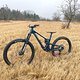 Propain Tyee 6 CF 2025 &quot;deep forrest&quot;