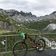 IMG 4501