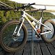 FATTY 0257