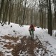 IMG 0032