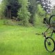 2014 04 14 Honzo-Freiwild