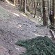 IMG 0969Large 1272301257