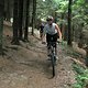 IMG 3994