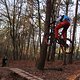 IMG 1922