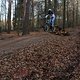 IMG 1951