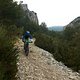TransVerdon2016 (215)