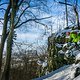 waldwegpanoramafoto 01