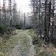 IMG 8060