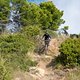 20211019-01L Golfo Dianese