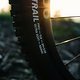 Schwalbe albert radial finale 04