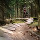 23L Trutnov - Modřínový