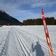 IMG 4772