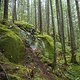 BC Squamish - Souerkraut