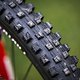 Bei den mit Edding geschwärzten Reifen dürfte es sich um Maxxis Highroller III handeln.