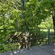 IMG 5767