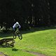 IMG 5261