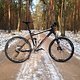 Canyon Nerve AL 8.0