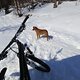 IMG 2777