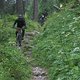 16.-22.07