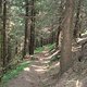 0004 Harz-Trail