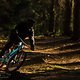 Foto Chris Spath Mondraker Foxy-1241