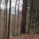 Von Sperrung zu Sperrung
(ersten 2km vergessen zu tracken *facepalm* )