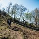 Zwischen Wall und Wald in der zweiten Streckenhälfte gibt es eine sehr schnelle und offene Sektion, die viele Fahrerherzen hat höher Schlagen lassen