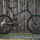trail-bike-intro-2583