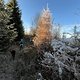 IMG 6122
