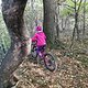 IMG 20241012 164809