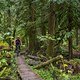 BC Squamish - 50 Schades of Green
